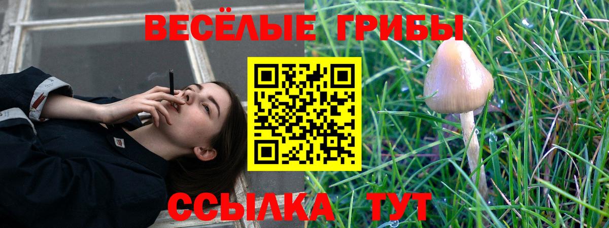 Галлюциногенные грибы Cubensis Люберцы