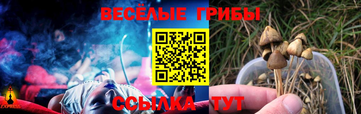 Галлюциногенные грибы GOLDEN TEACHER  Вход с VPN  Люберцы  Псилоцибиновые грибы мицелий 